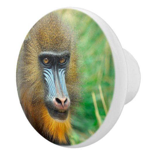 Mandrill 002 keramikknauf (Rechts)