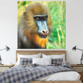 Mandrill 002 leinwanddruck (Insitu (Schlafzimmer))