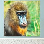 Mandrill 002 leinwanddruck (Insitu (Holzboden))