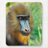 Mandrill 002 mousepad (Vorne)