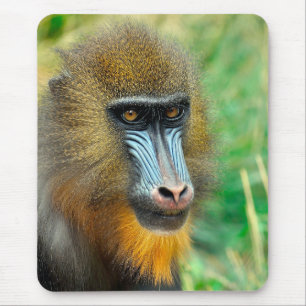 Mandrill 002 mousepad