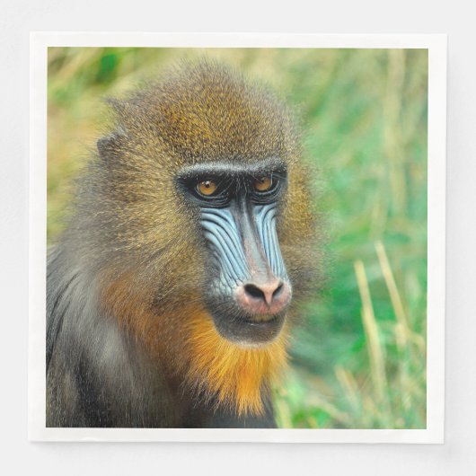 Mandrill 002 serviette (Vorderseite)