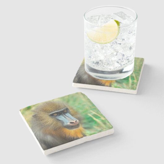 Mandrill 002 steinuntersetzer (Seitenansicht)