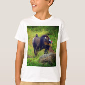 Mandrill #2 T - Shirt (Vorderseite)