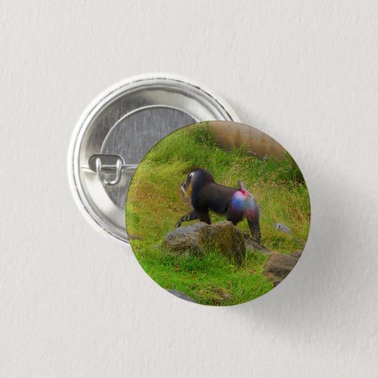 Mandrill #4 Pinback Button (Vorne & Hinten)