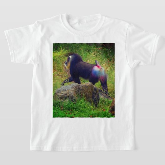 Mandrill #4 T - Shirt (Ablage )