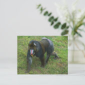 Mandrill #5 Postcard Postkarte (Stehend Vorderseite)