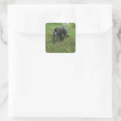Mandrill #5 Stickers (Tasche)