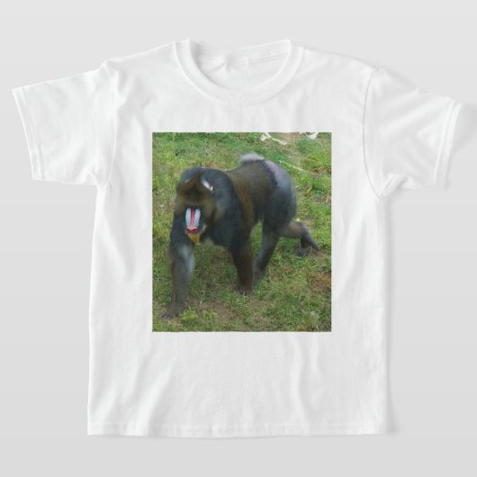 Mandrill #5 T - Shirt (Ablage )