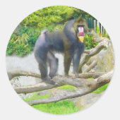 Mandrill #7 Stickers (Vorderseite)
