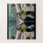 Mandrill-Affen Puzzle (Vertikal)