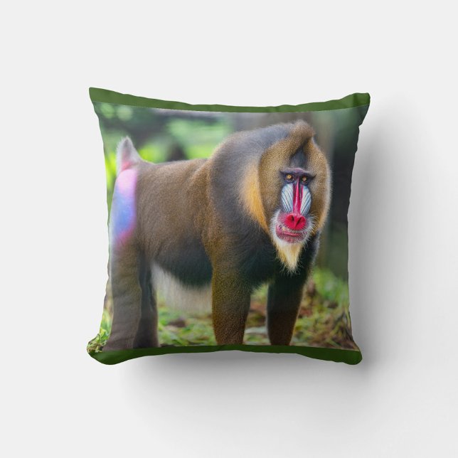 Mandrill Baboon Kissen (Mandrill known for their striking red, blue and purple facial markings.)