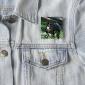 Mandrill Button (Beispiel)