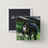 Mandrill Button (Vorne & Hinten)