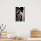 Mandrill Head Poster (Küche)