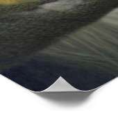 Mandrill Head Poster (Ecke)