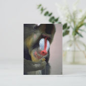 Mandrill Head Postkarte (Stehend Vorderseite)