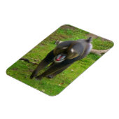 Mandrill Magnet (Linke Seite)