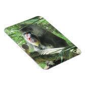 Mandrill Magnet (Rechte Seite)