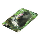 Mandrill Magnet (Linke Seite)