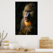 Mandrill Monkey Poster (Küche)