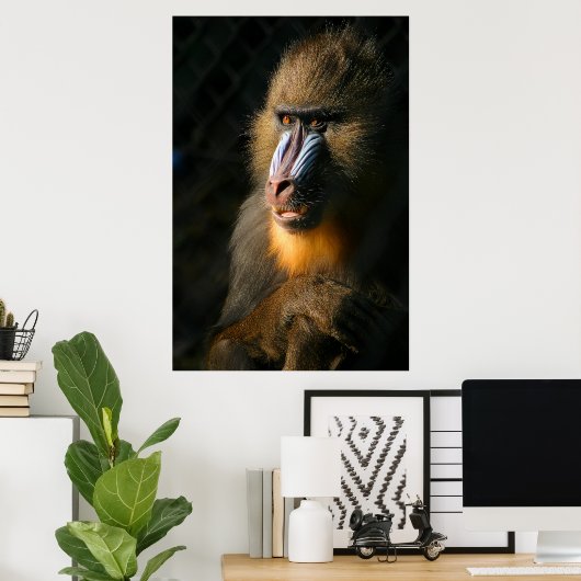 Mandrill Monkey Poster (Heimbüro)