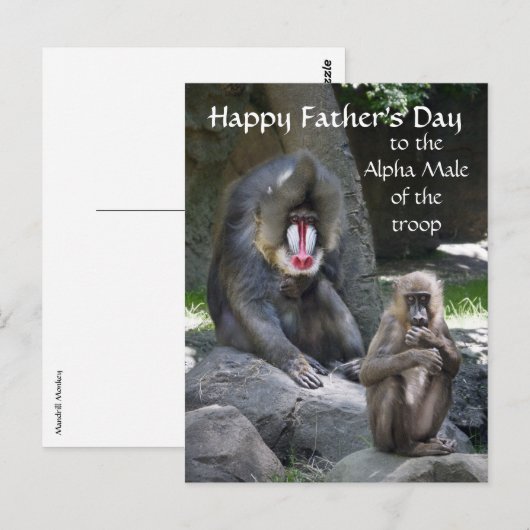 Mandrill Monkey Vatertag Postkarte (Vorne/Hinten)