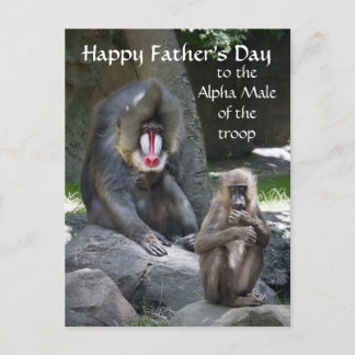 Mandrill Monkey Vatertag Postkarte
