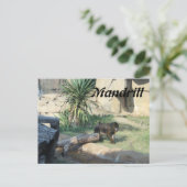 Mandrill Postkarte (Stehend Vorderseite)