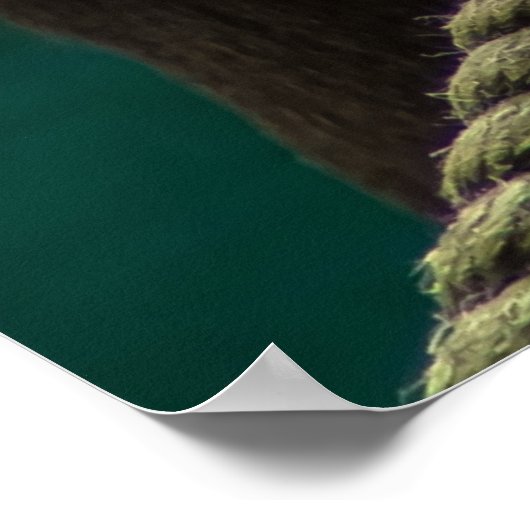 Mandrill Primat Portrait Poster (Ecke)