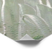 Mandrill Print, Value Poster Paper (Semi-Gloss) (Ecke)