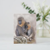 Mandrill und Young Postcard Postkarte (Stehend Vorderseite)