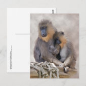 Mandrill und Young Postcard Postkarte (Vorne/Hinten)