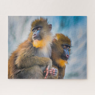 Mandrillem (auch Mandrills) Puzzle