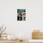Mandrills Poster (Küche)