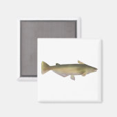 Manduba Magnet (Vorderseite/Rückseite)