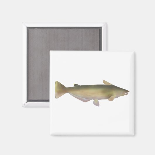 Manduba Magnet (Vorderseite/Rückseite)