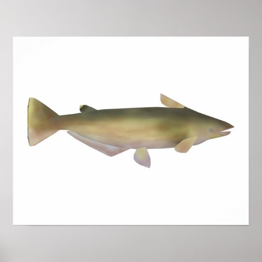 Manduba Poster (Vorne)