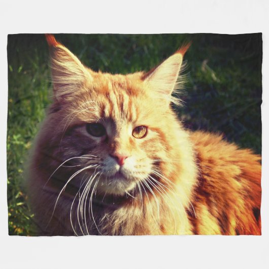Mane Coon Fleecedecke (Vorderseite (Horizontal))