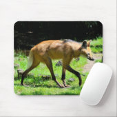 Maned Wolf auf Gras Mousepad (Mit Mouse)