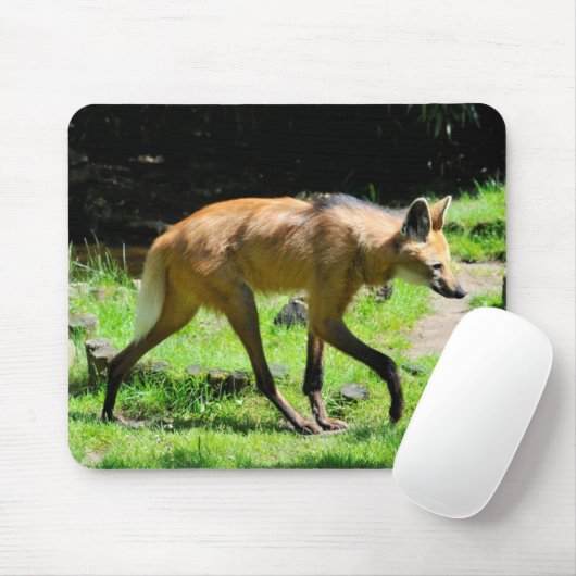 Maned Wolf auf Gras Mousepad (Mit Mouse)