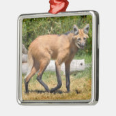 Maned Wolf auf Gras Ornament Aus Metall (Links)