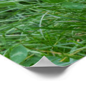 Maned Wolf Poster (Ecke)