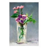 Manet Carnation clematis CC1240 Schöne Blume Poster (Vorderseite)
