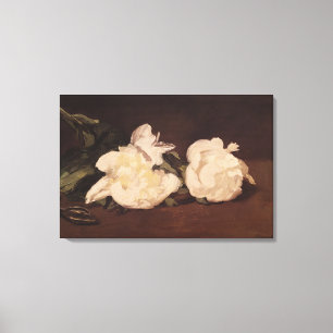 Manet   Niederlassung der weißen Pfingstrosen und Leinwanddruck