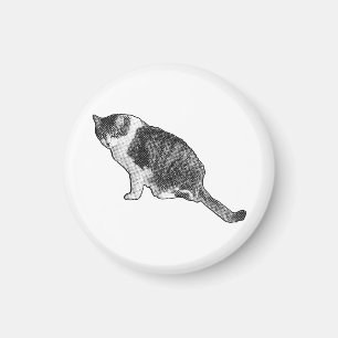 Manga Dot Cat Magnet bringt Launenhaftigkeit in Kü