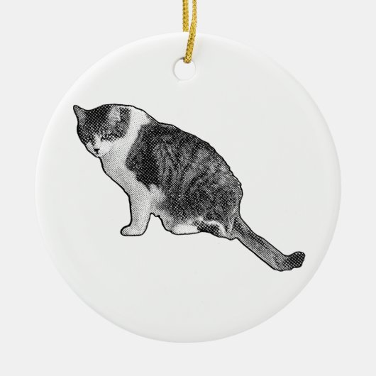 Manga Dot Cat Ornament Brightens Festive Decor (Vorne)