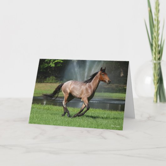 Mangalarga läuft vor dem Brunnen Karte (Vorderseite)