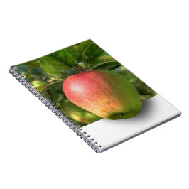 Mango 3 D Spiral Foto Notebook Notizblock