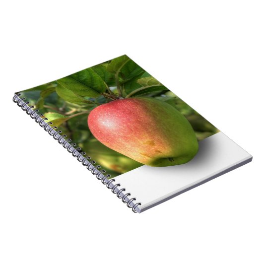 Mango 3 D Spiral Foto Notebook Notizblock (Rechte Seite)